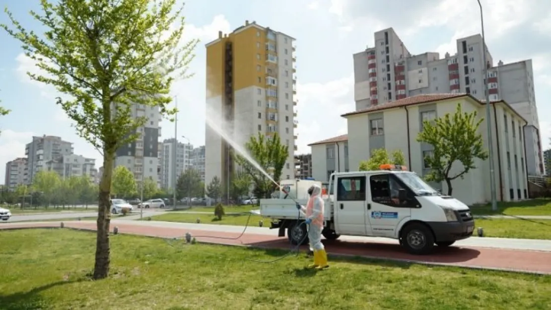 Altınoluk ve Yeniköy Mahallelerinde toplu temizlik yapıldı