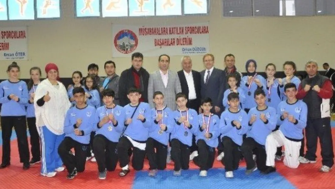 Analig Taekwondo Müsabakalarında Kayseri Takımları Finalde 