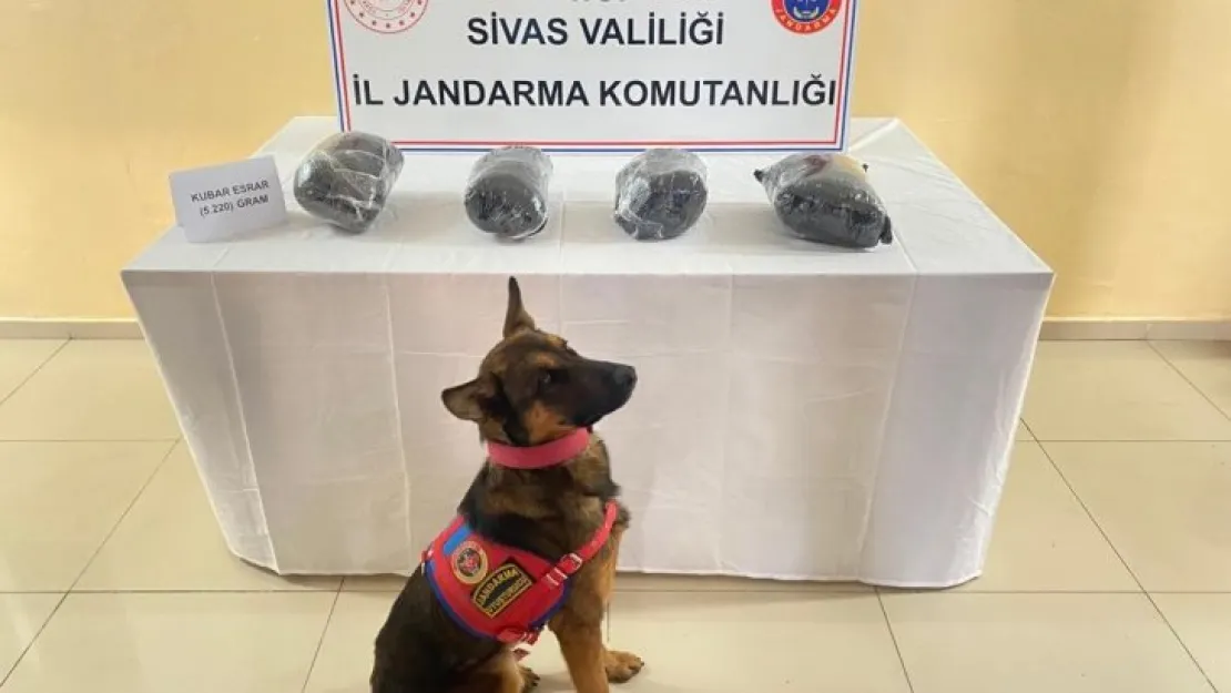 Aracından 5 kilo uyuşturucu çıktı