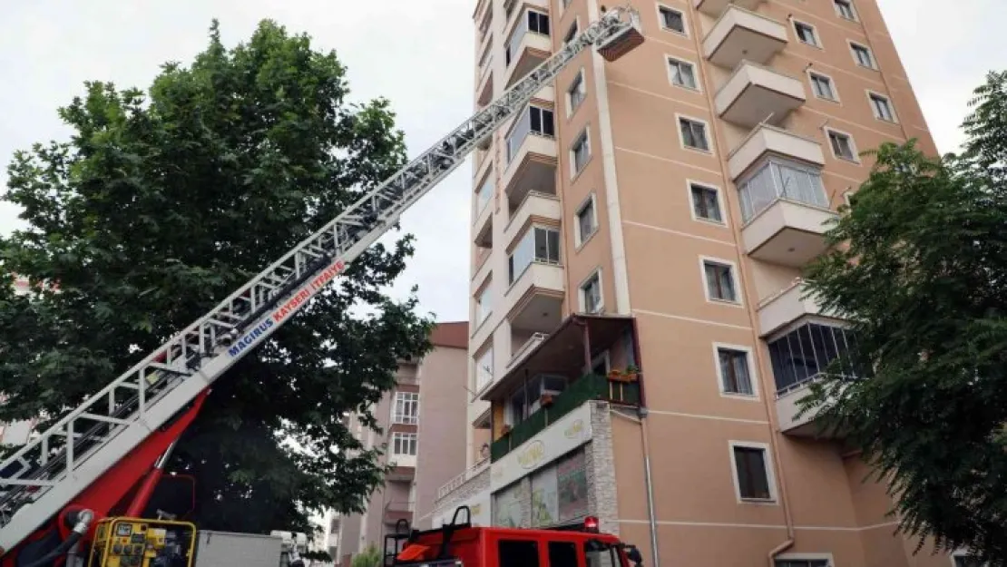 Arılar oğul verdi, belediye duvardan indirdi