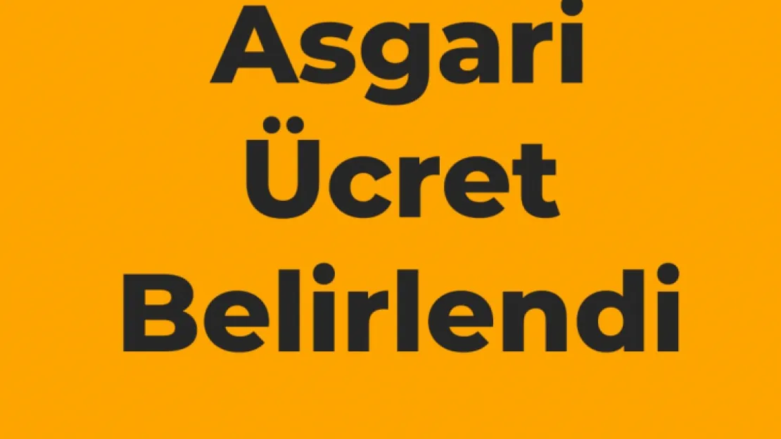 Asgari Ücret Belirlendi