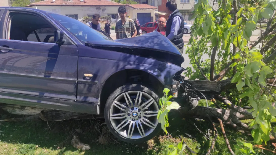 Aşırı hızlı araç, refüjdeki ağaca çarparak durabildi