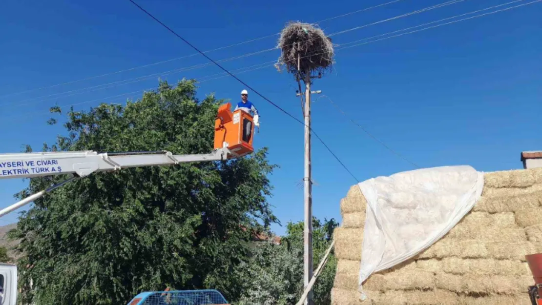 Ayağına ip dolanan yavru leylek kurtarıldı