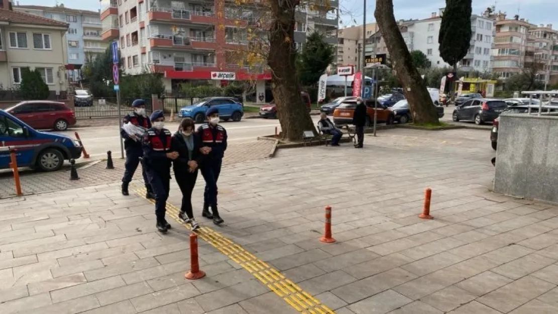 Bakıcılık yaptığı villadan bir milyonluk döviz çaldı