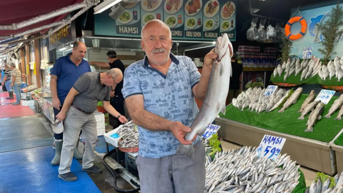 Balıkçılar 'vira bismillah' dedi, tezgahlar şenlendi