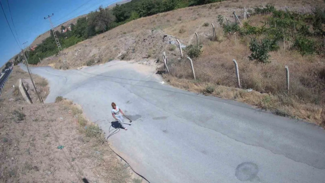 Baltalı hırsız önce fotokapana, ardından jandarmaya yakalandı