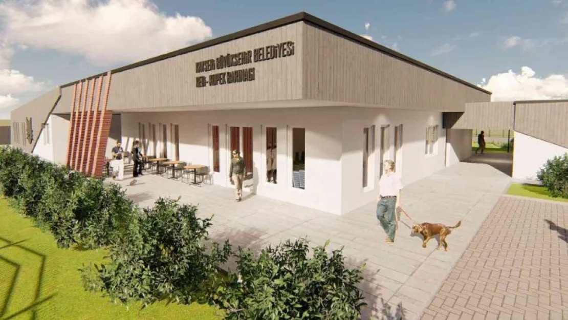 Sokak hayvanları için modern barınak yapılacak