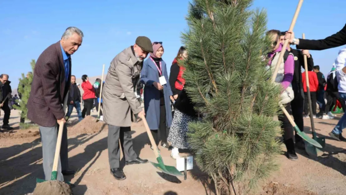 Kocasinan 1 yılda 126 bin ağaç dikti