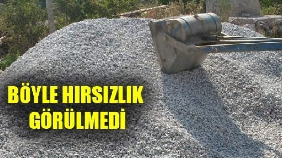 Böyle Hırsızlık Görülmedi