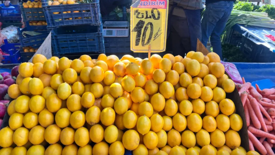 Bu yıl tezgahlarda limon bol ve ucuz