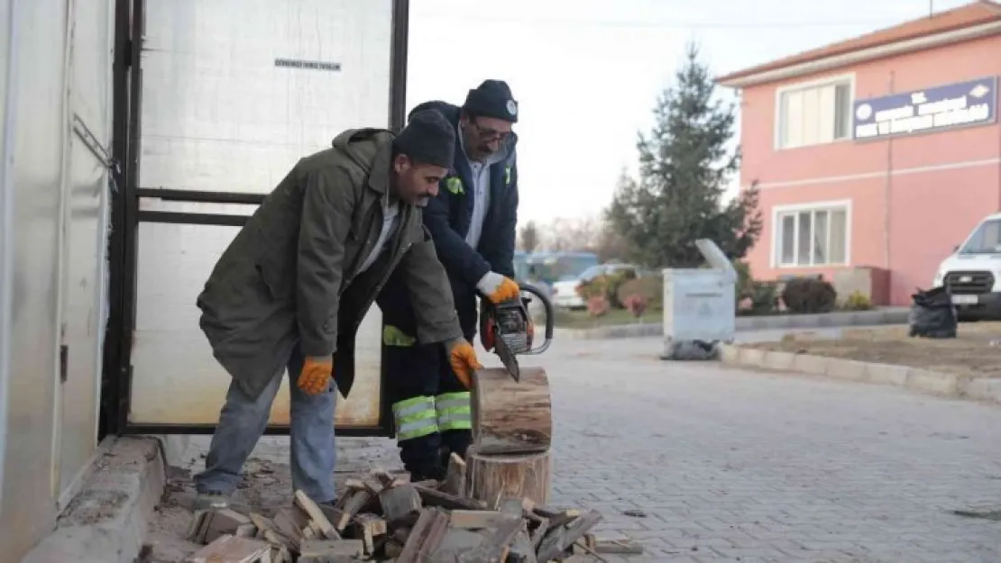 Budanan ağaçlar ihtiyaç sahiplerine yakacak oluyor