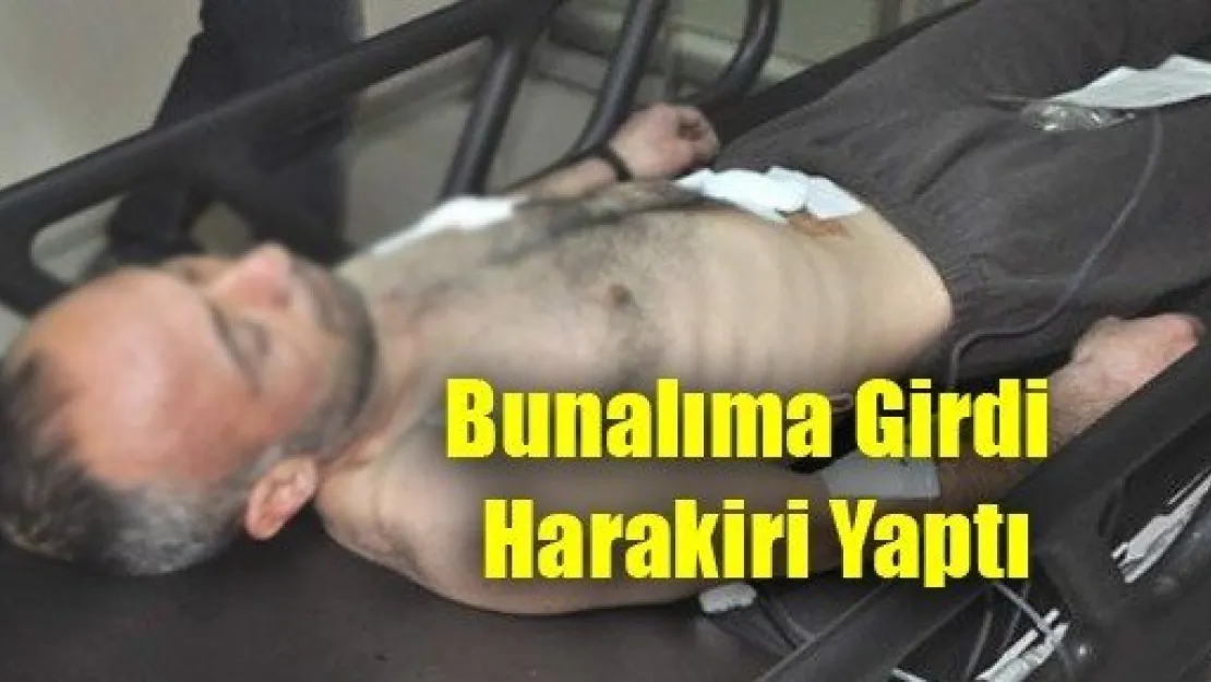 Bunalıma Girdi Harakiri Yaptı