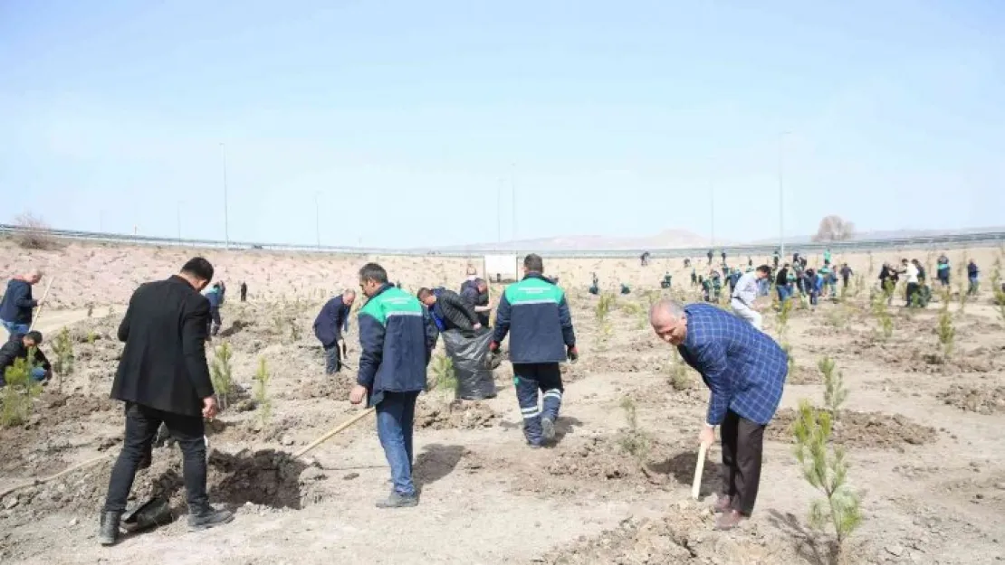 Büyükşehir, baharın gelmesiyle fidan dikimine başladı