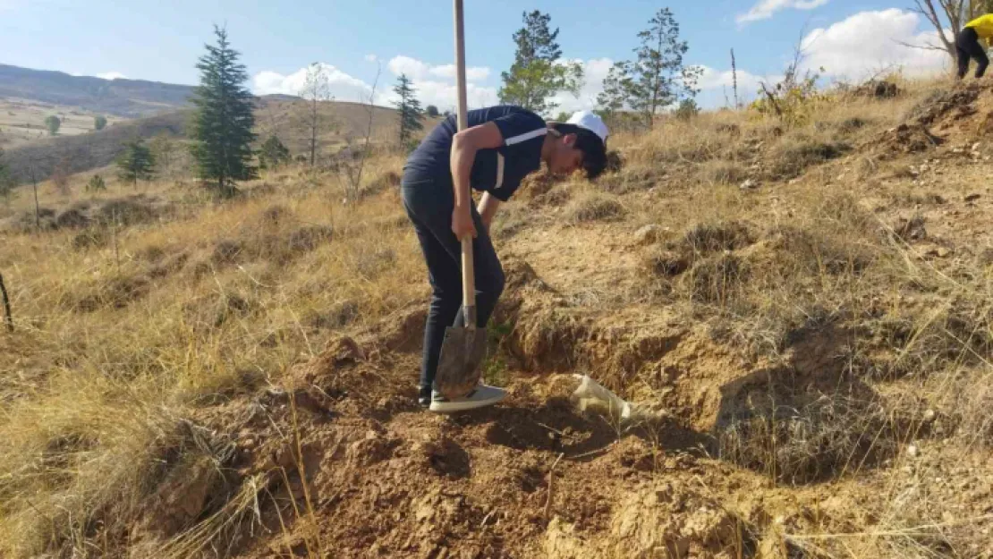 Kayseri'nin İlçeleri 22 bin Fidan İle Buluşturacak