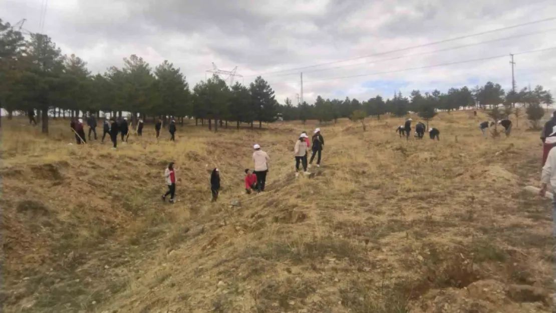 Büyükşehir, Bünyan'da öğrencilerle bin adet ağaç dikti