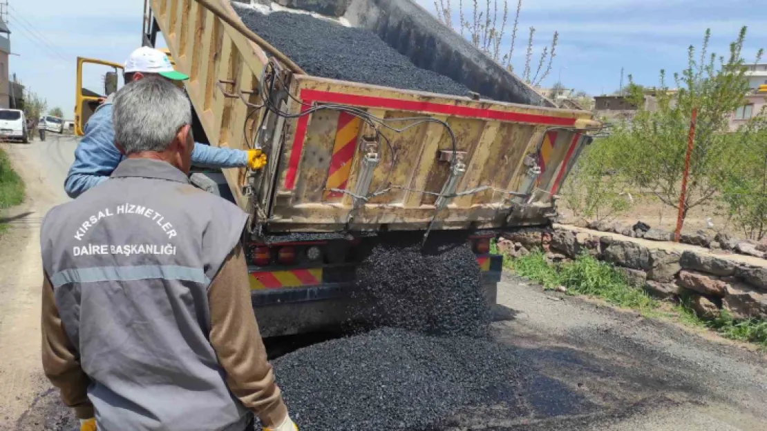 Büyükşehir'den kırsalda arazi ve yayla yolları bakım onarım çalışması