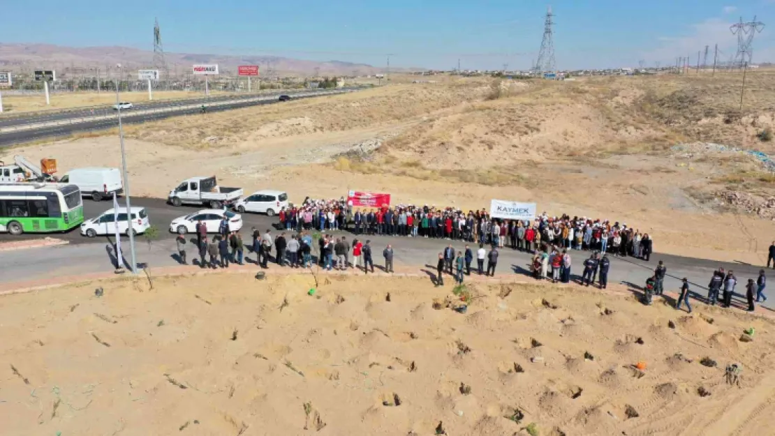 Büyükşehir'den şehitler anısına 251 fidan