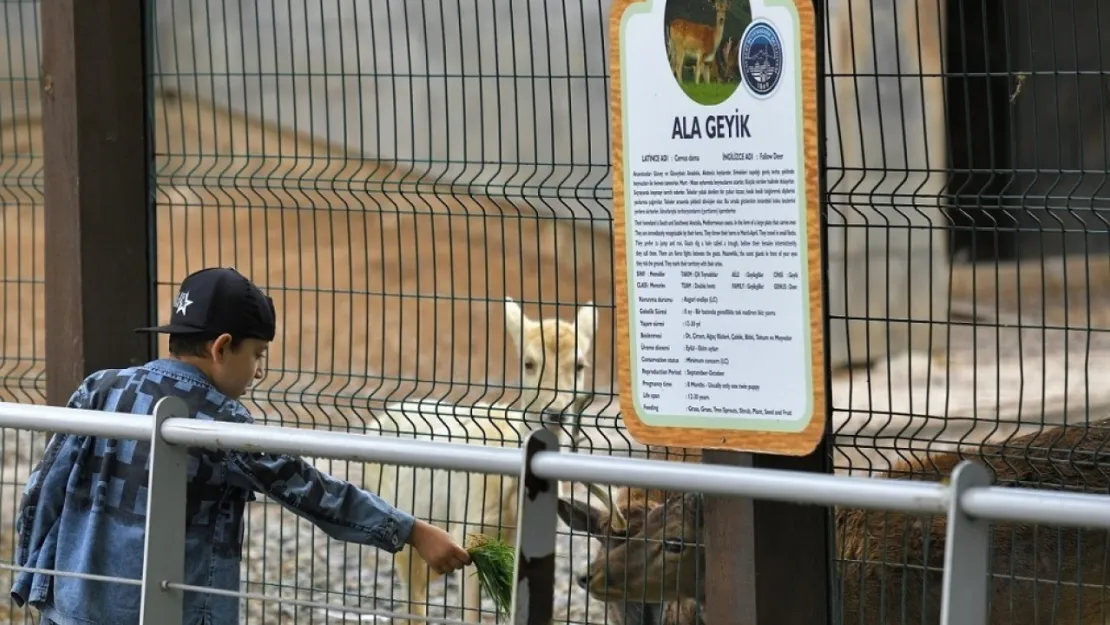 Hayvanat Bahçesi, Kurban Bayramı'nda ücretsiz