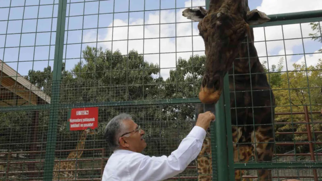 Büyükşehir Hayvanat Bahçesi'ne 1 yılda toplam 375 bin ziyaretçi