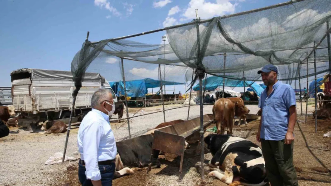 Büyükşehir kurban satış ve kesim yerlerinde tüm tedbirleri aldı