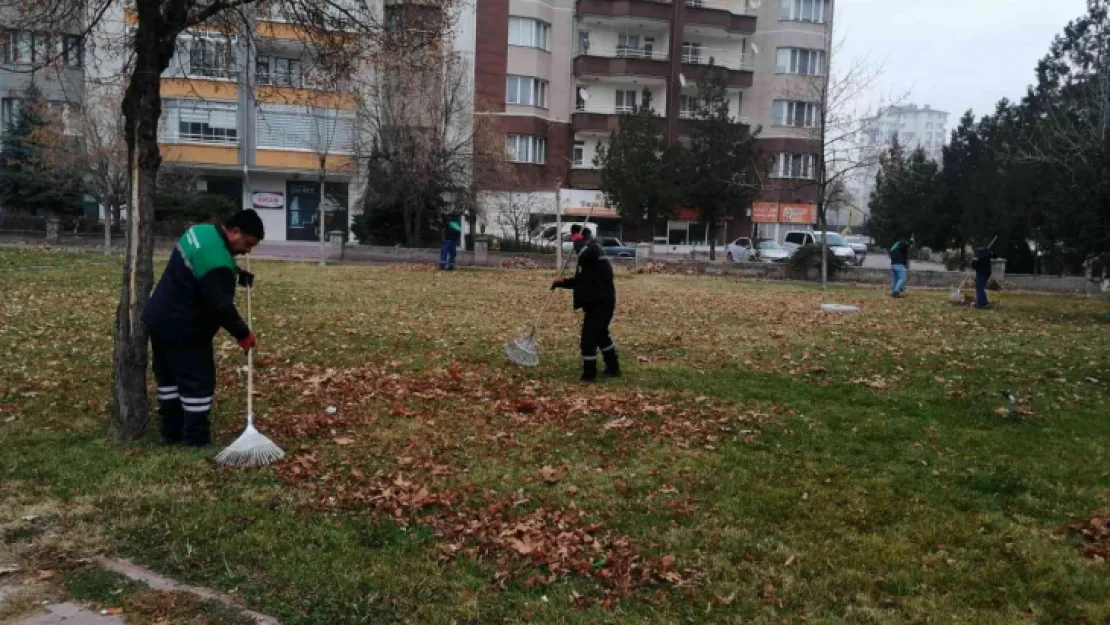 Gazelleri gübreye dönüşüyor