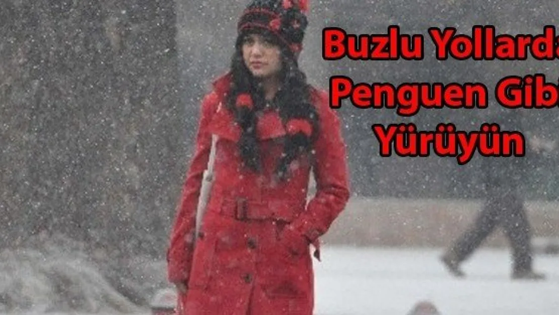 Buzlu Yollarda Penguen Gibi Yürüyün