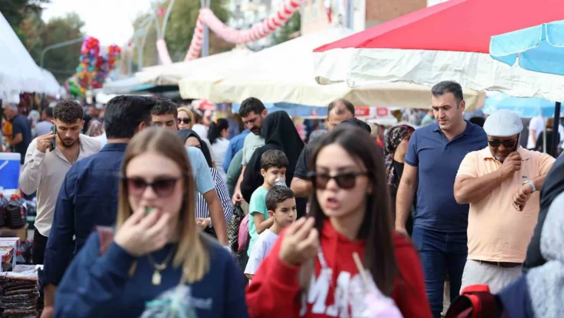 Ceviz Festivali, katılım rekoru Kırdı