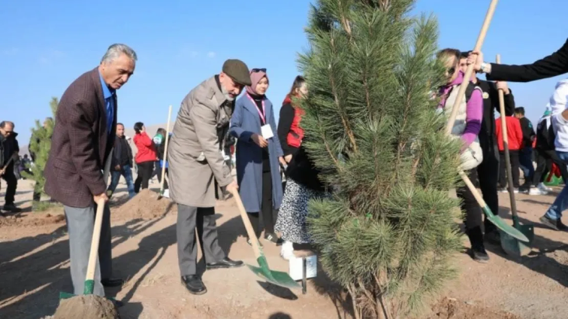 Kocasinan'da hedef 100 bin ağacı toprakla buluşturmak