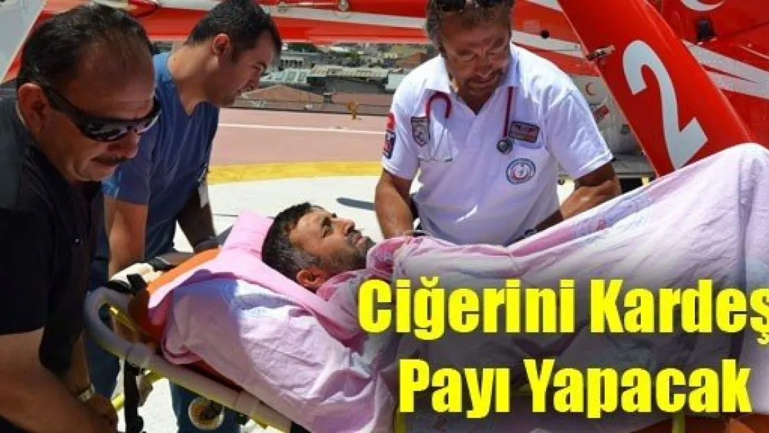 Ciğerini Kardeş Payı Yapacak