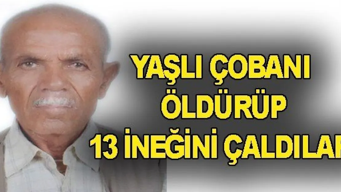 Çobanı Öldürüp Hayvanları Çaldılar