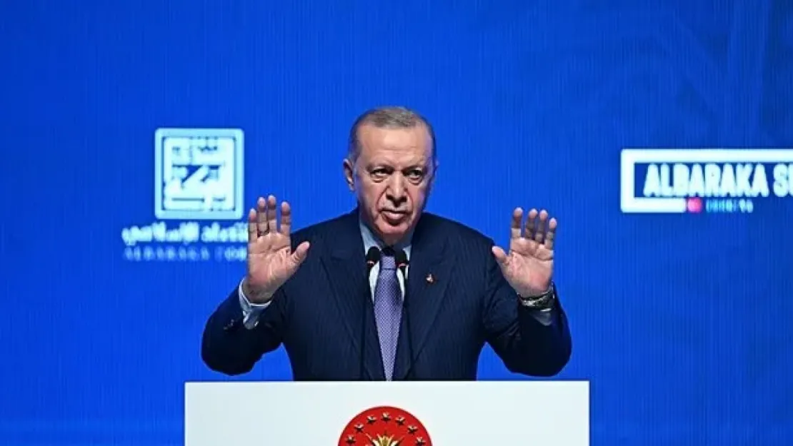 Cumhurbaşkanı Erdoğan'dan 'kapitalist sistem' eleştirisi