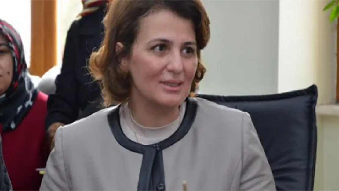 Danimarka'daki çirkin sergiye Milletvekili Çalış'tan tepki