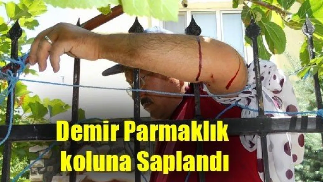 Demir Parmaklık Koluna Saplandı