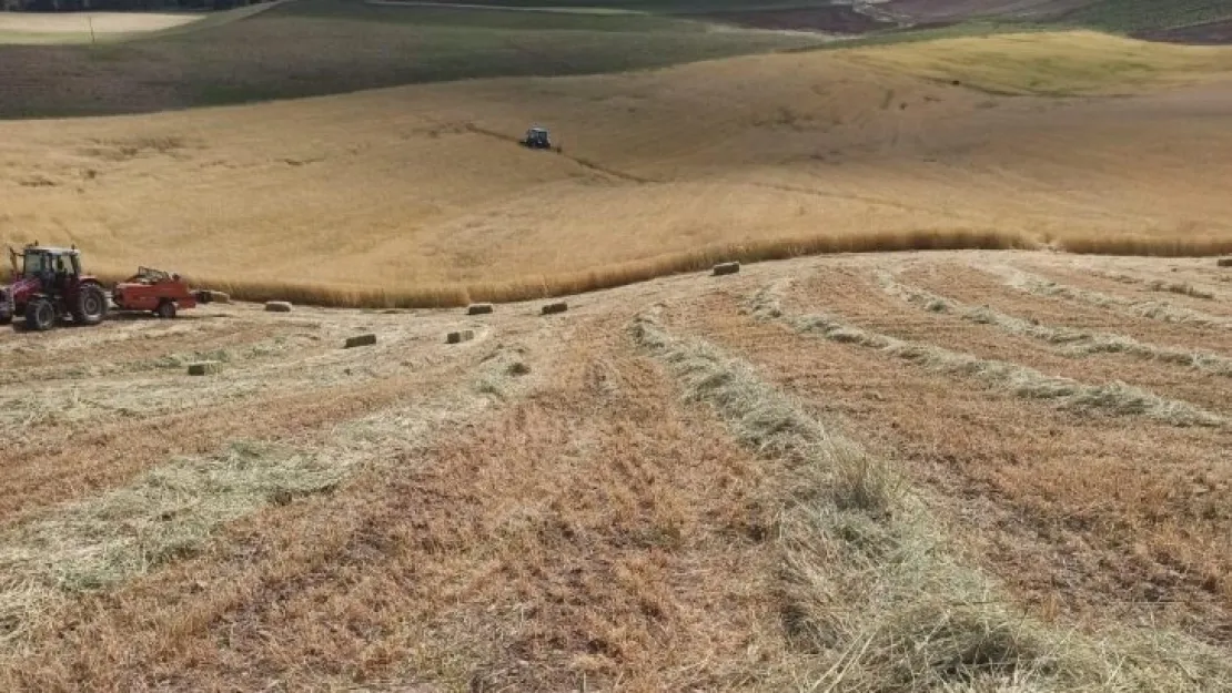 Dengesini kaybedip düştü, traktörün üzerinden geçmesiyle hayatını kaybetti