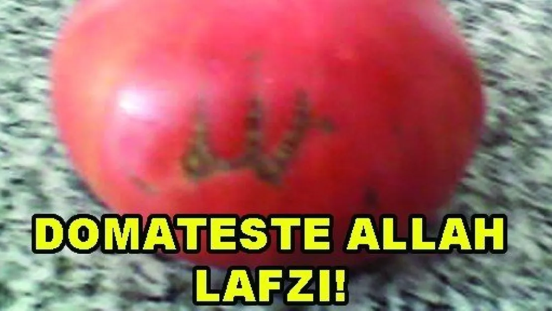 Domateste Allah Lafzı!