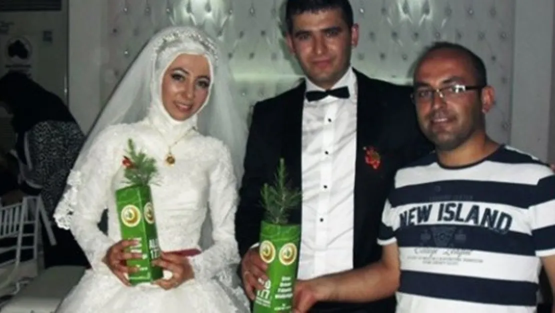 Nikah şekeri yerine tüplü fidan dağıtıldı