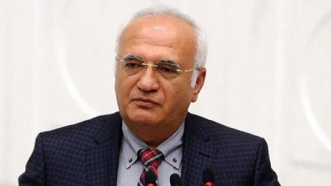Elitaş, AB Bakanı üzerinden BAHÇELİ'Yİ eleştirdi