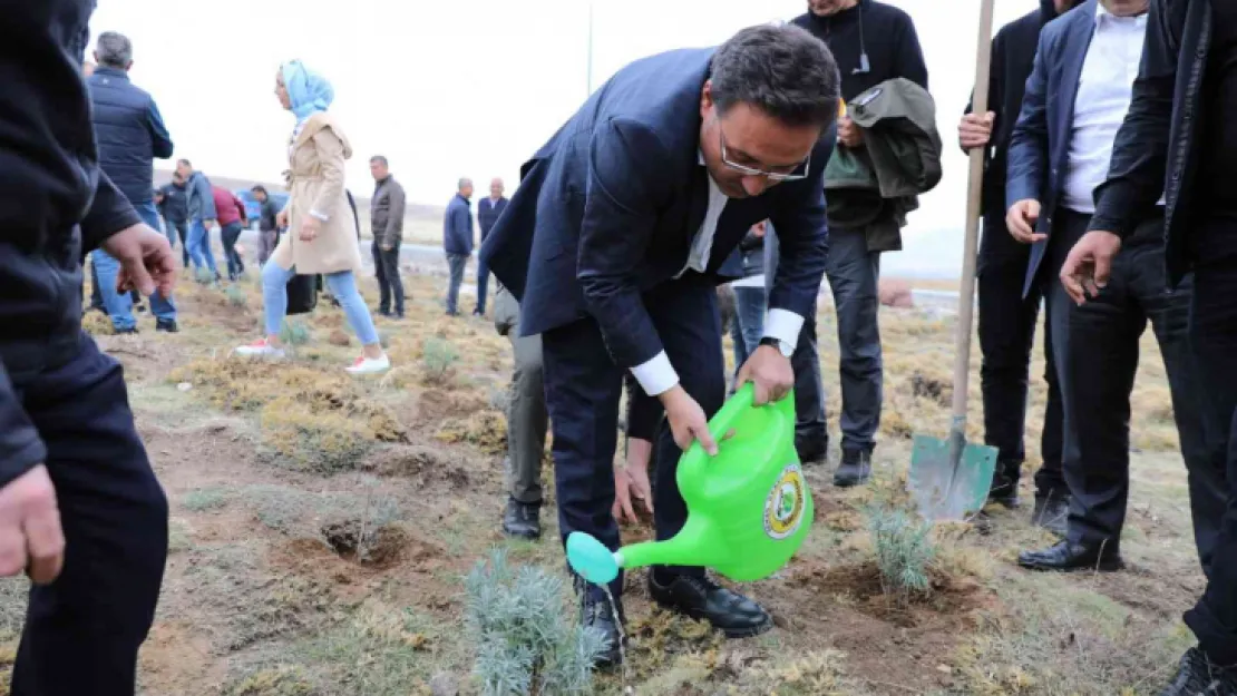 Erciyes lavantayla renkleniyor