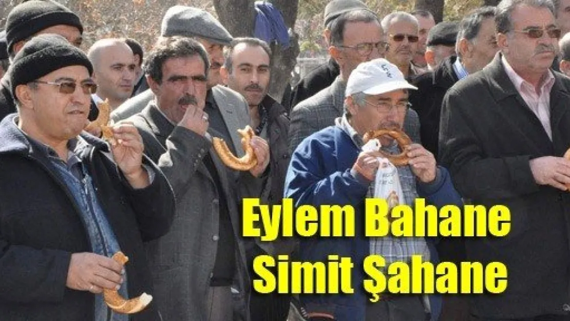 Eylem Bahane Simit Şahane