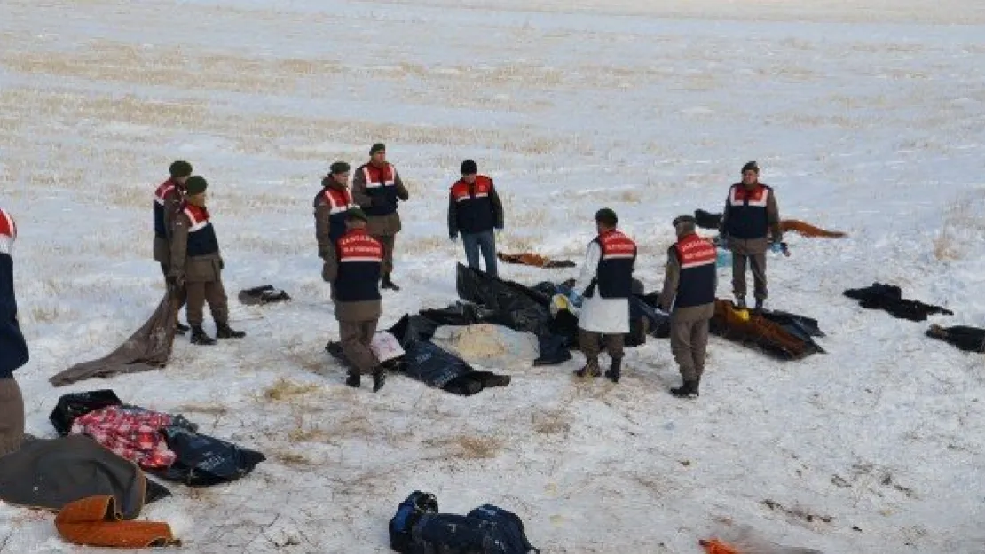  Feci Kazada ölü ve yaralı sayısı artıyor 21 Ölü 29 yaralı