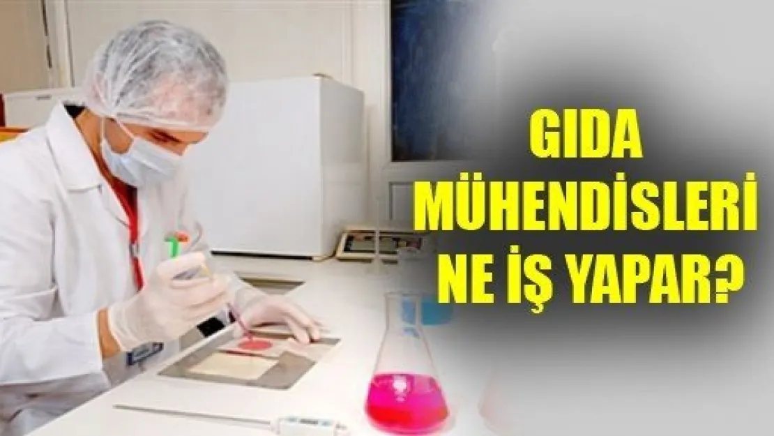 Gıda Mühendisleri Ne İş Yapar?