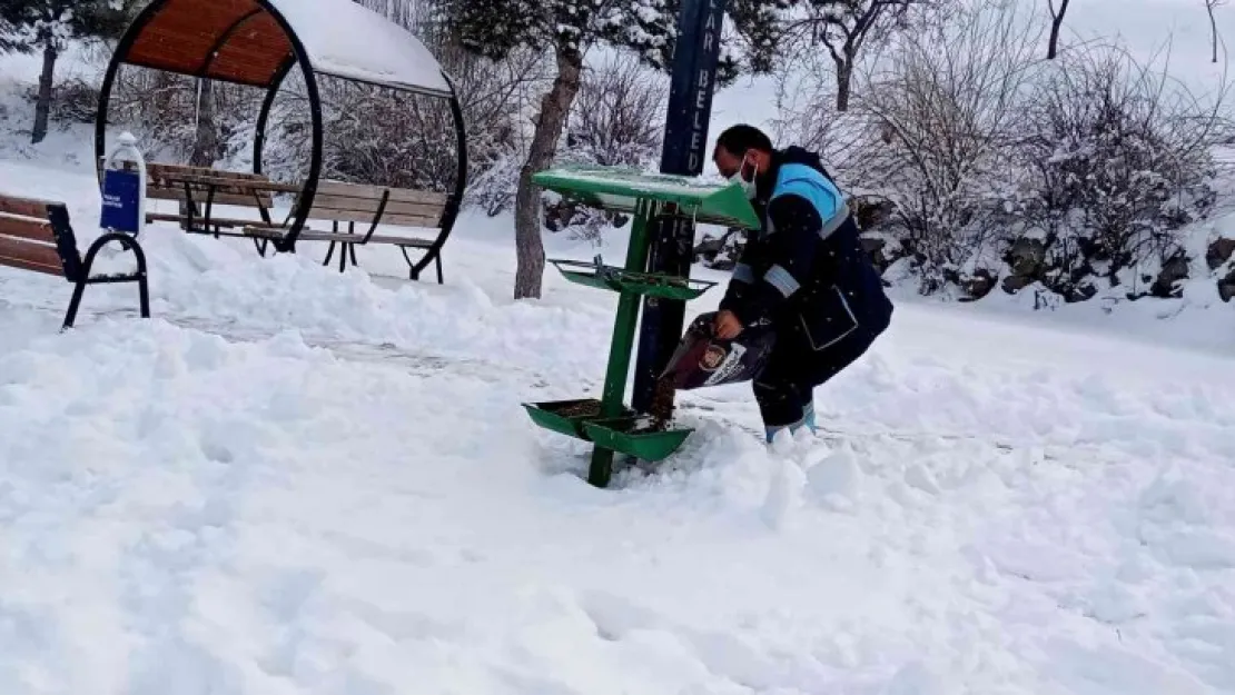 Hacılar'da sokak hayvanları unutulmuyor