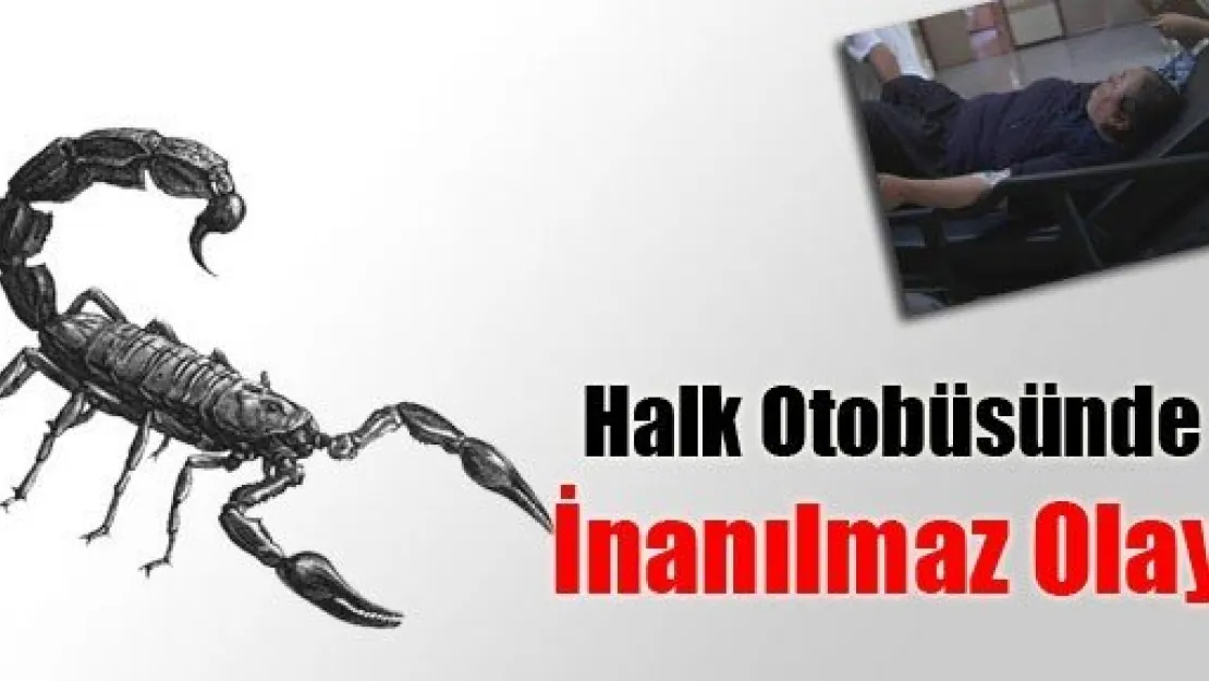 Halk Otobüsünde Akrep Soktu