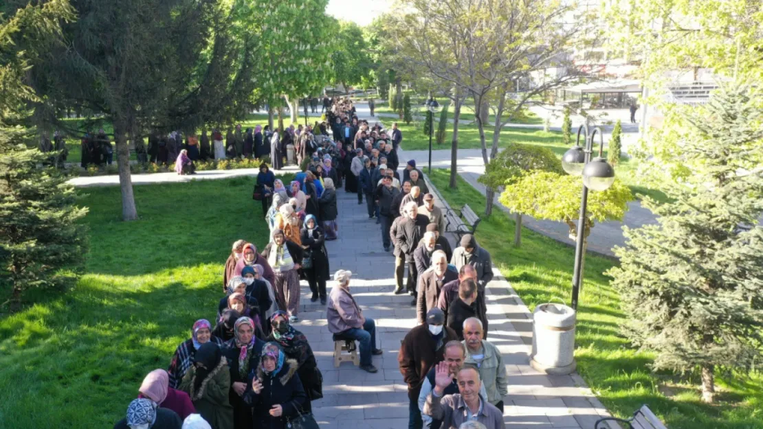 Haydi domates fidesi kuyruğuna! Erken gelen alıyor