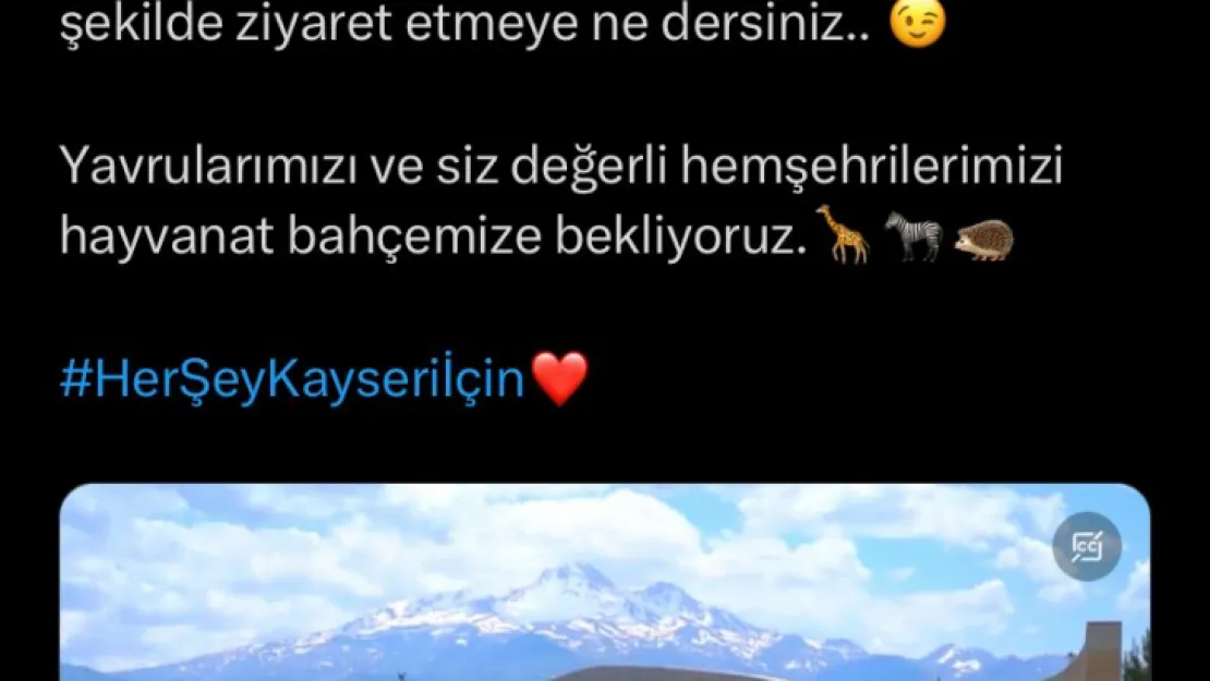 Hayvanat bahçesi bayramda 3 gün ücretsiz olacak