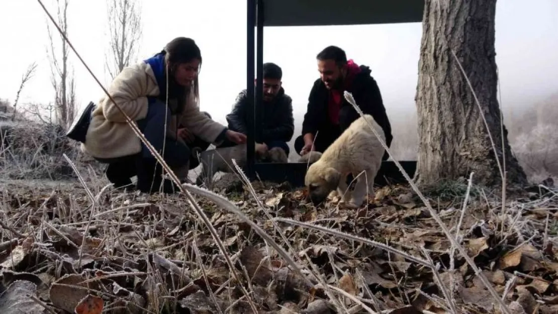 Hem israfın önüne geçiyorlar hem de sokak hayvanlarına 'hayat' oluyorlar