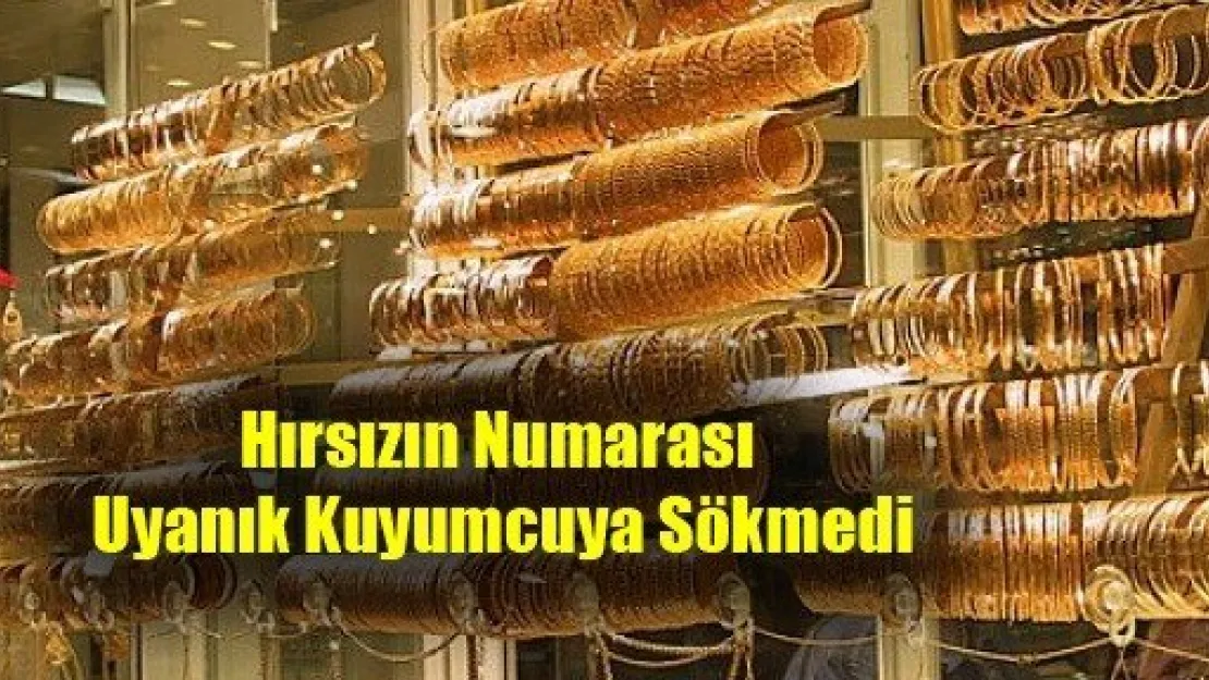 Hırsızın Numarası Uyanık Kuyumcuya Sökmedi