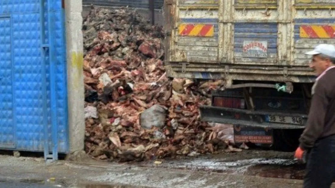 Hurdacıların Topladığı Kemiklerin Kokusu Hastaneyi Sardı