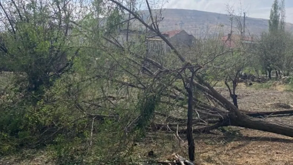 İl Özel İdaresi, çalışmalarına aralıksız devam ediyor