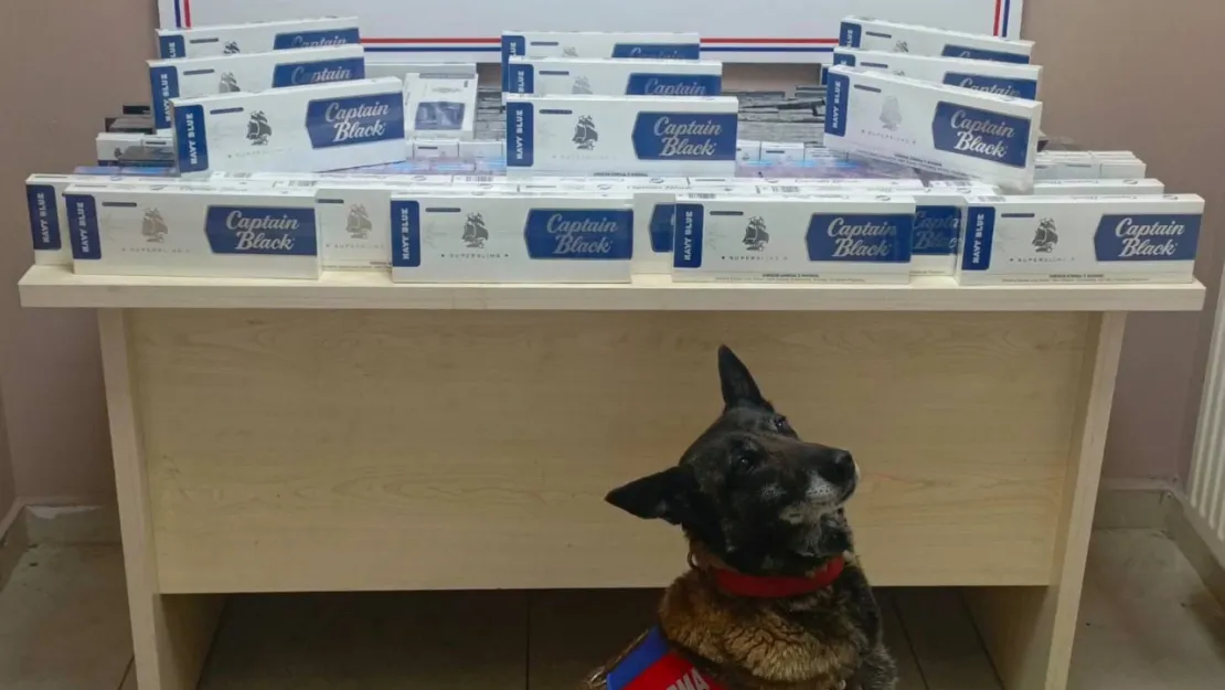 Jandarma ekipleri 830 paket kaçak  sigara ele geçirdi
